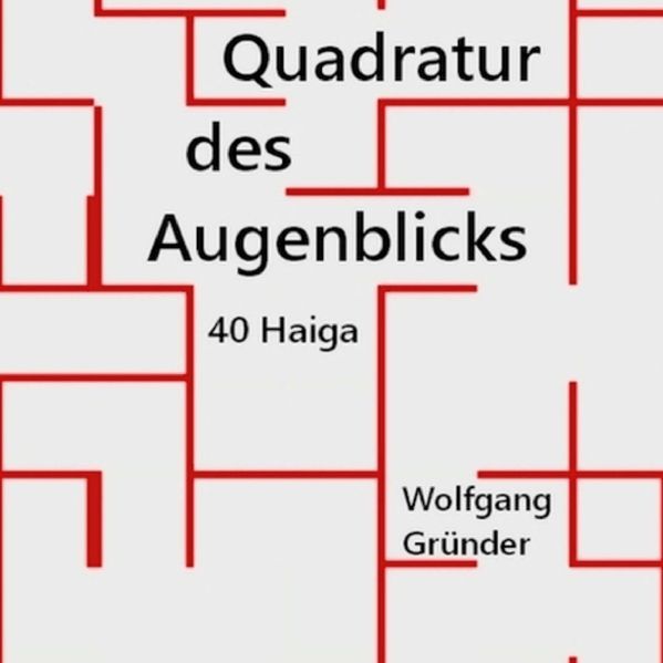 Cover von Quadratur des Augenblicks