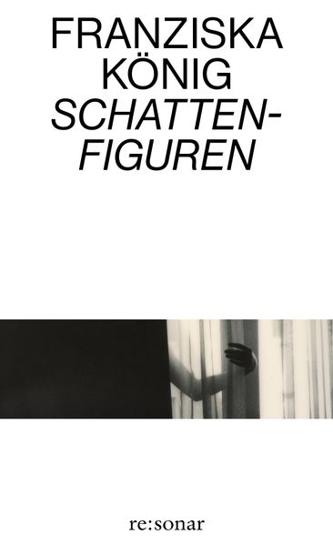 Cover von Schattenfiguren