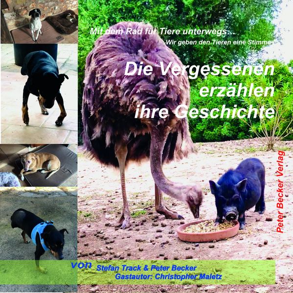 Cover von Die Vergessenen erzählen ihre Geschichte