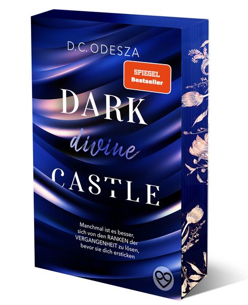 Cover von Dark divine castle