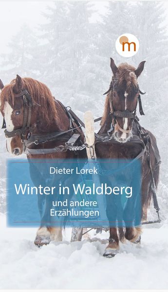 Cover von Winter in Waldberg und andere Erzählungen