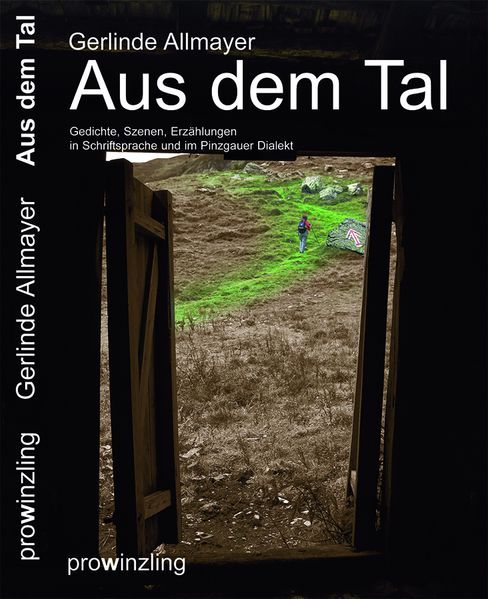 Cover von Aus dem Tal