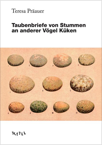 Cover von Taubenbriefe von Stummen an anderer Vögel Küken