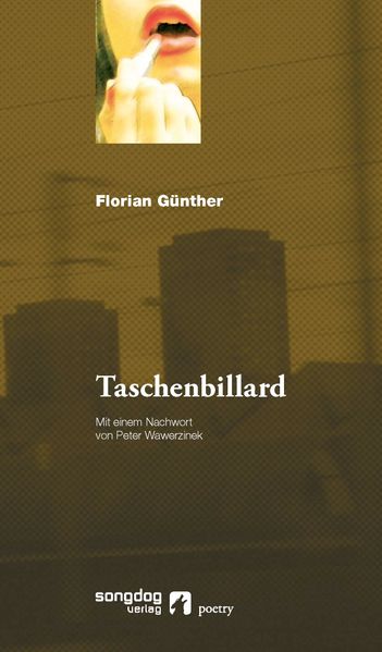 Cover von Taschenbillard