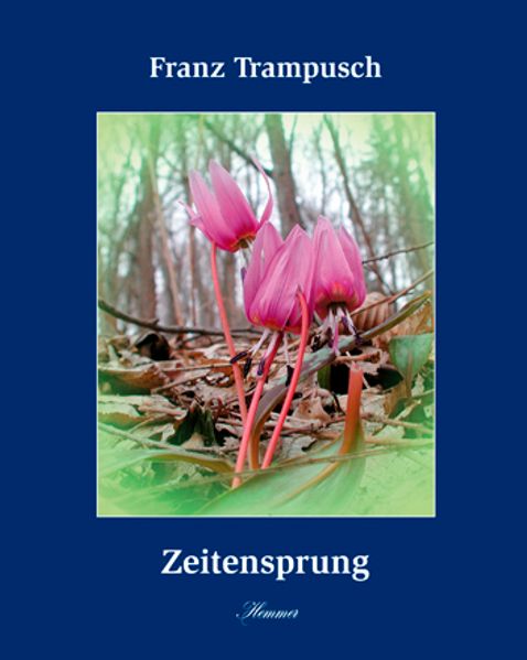 Cover von Zeitensprung