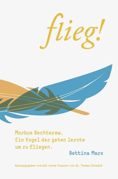 Cover von flieg!