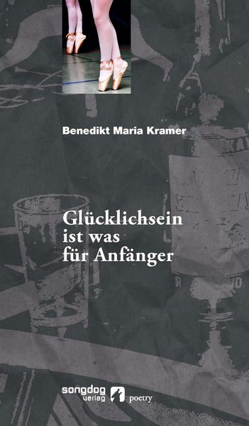 Cover von Glücklichsein ist was für Anfänger