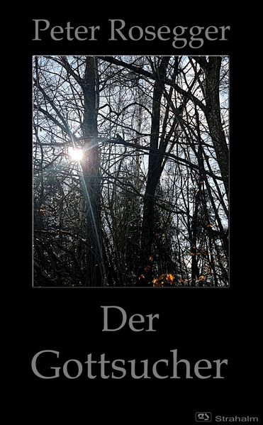Cover von Der Gottsucher