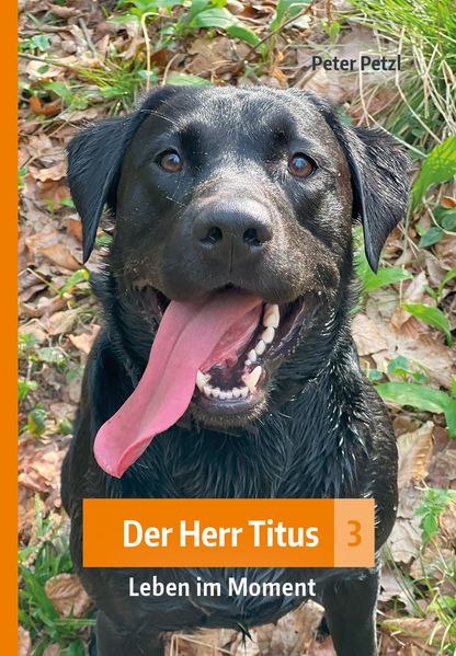 Cover von Leben im Moment