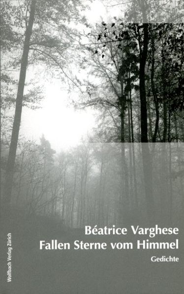 Cover von Fallen Sterne vom Himmel