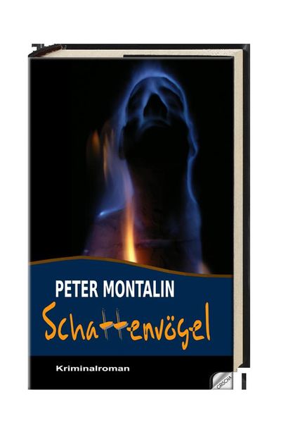 Cover von Schattenvögel