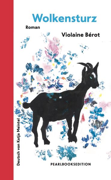 Cover von Wolkensturz