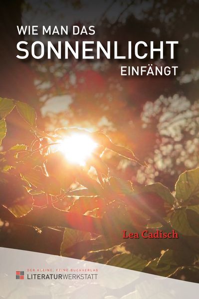Cover von Wie man das Sonnenlicht einfängt