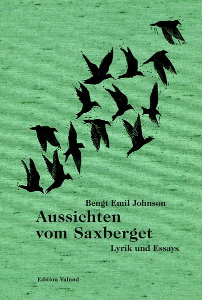 Cover von Aussichten vom Saxberget
