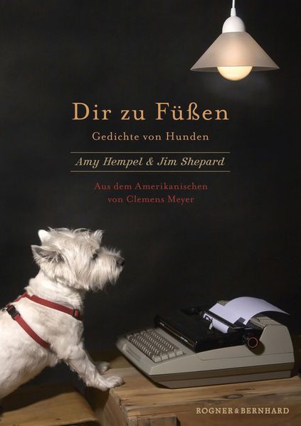 Cover von Dir zu Füßen