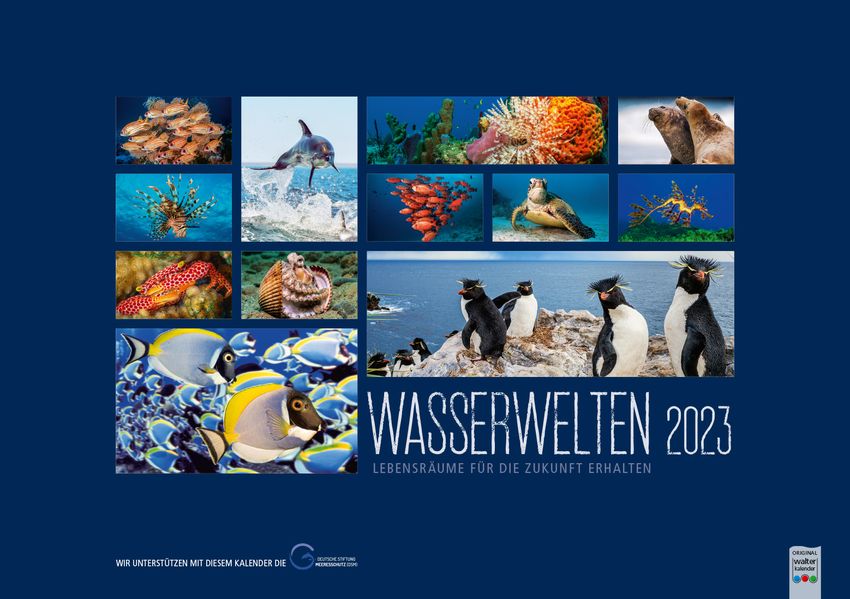 Cover von Wasserwelten 2023