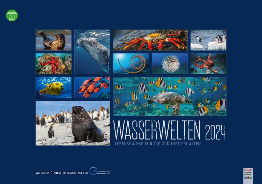 Cover von Wasserwelten 2024