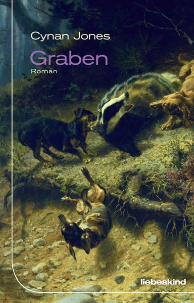 Cover von Graben