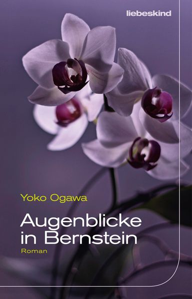Cover von Augenblicke in Bernstein