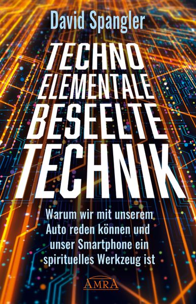 Cover von DIE SEELE IM JENSEITS