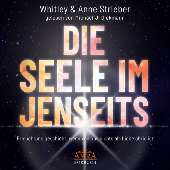 Cover von DIE SEELE IM JENSEITS (Ungekürzte Lesung)
