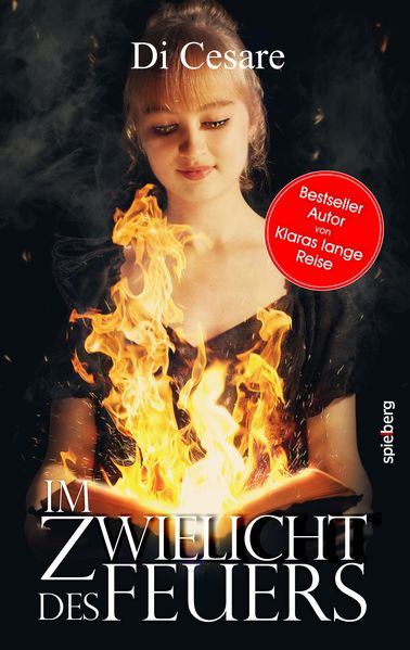 Cover von Im Zwielicht des Feuers