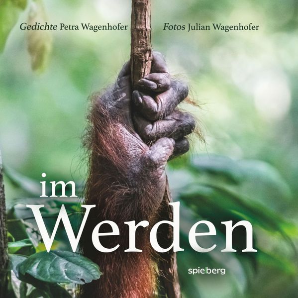 Cover von Im Werden