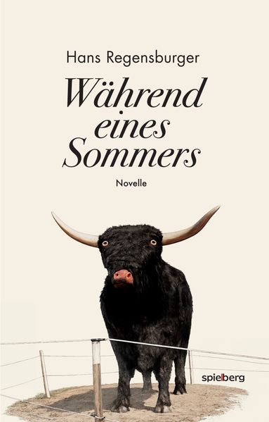 Cover von Während eines Sommers
