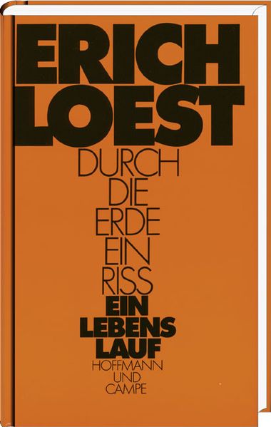 Cover von Durch die Erde ein Riß