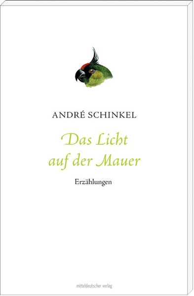 Cover von Das Licht auf der Mauer