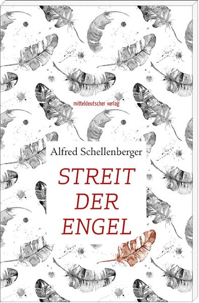 Cover von Streit der Engel