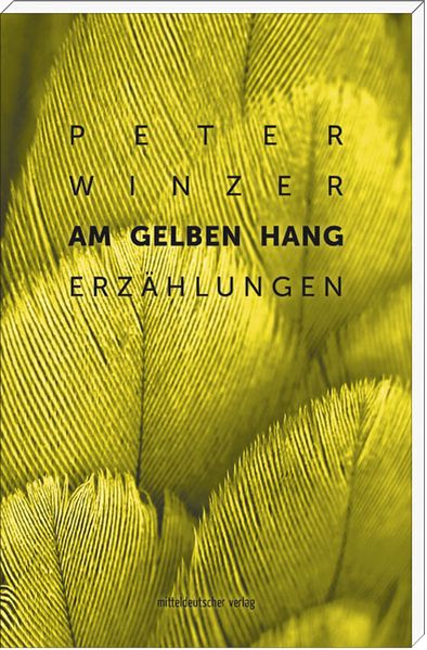Cover von Am gelben Hang