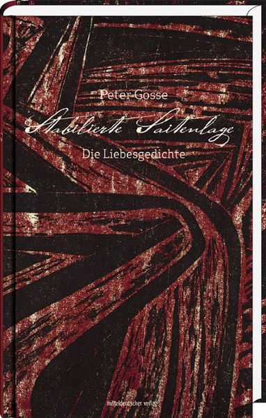 Cover von Stabilierte Saitenlage