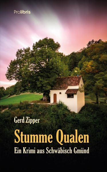 Cover von Stumme Qualen