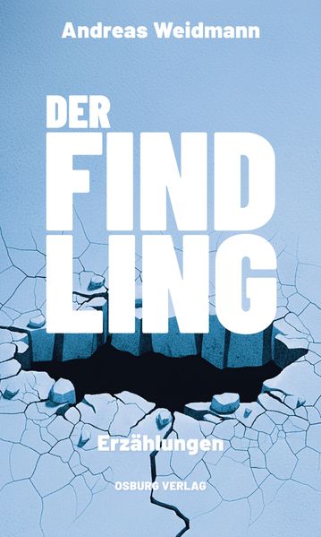 Cover von Der Findling