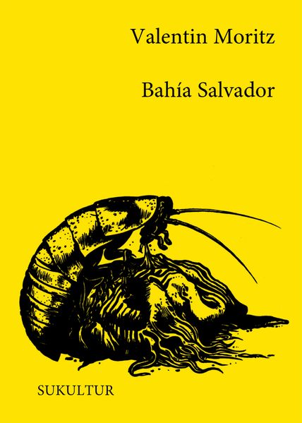 Cover von Bahía Salvador