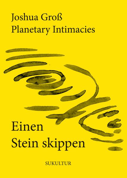 Cover von Einen Stein skippen