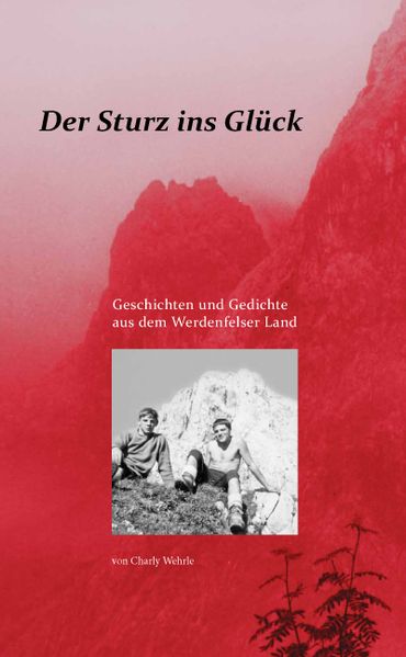 Cover von Sturz ins Glück