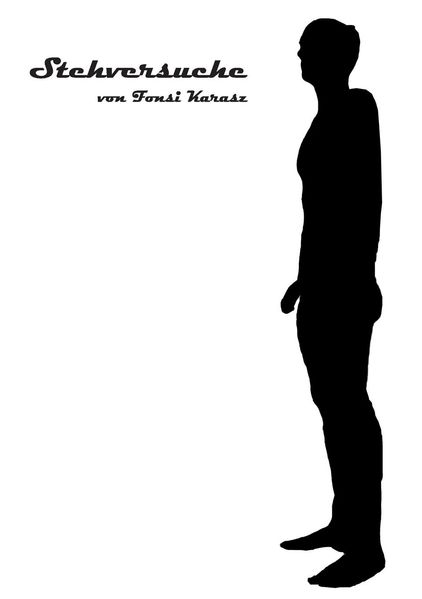 Cover von Stehversuche