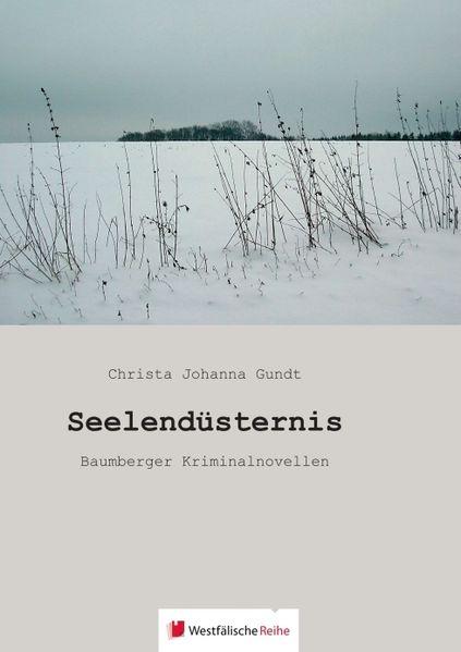 Cover von Seelendüsternis