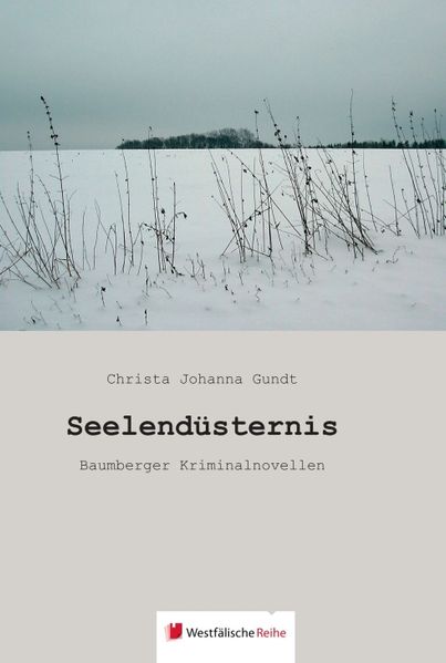 Cover von Seelendüsternis