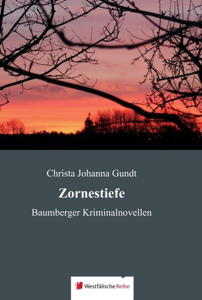 Cover von Zornestiefe