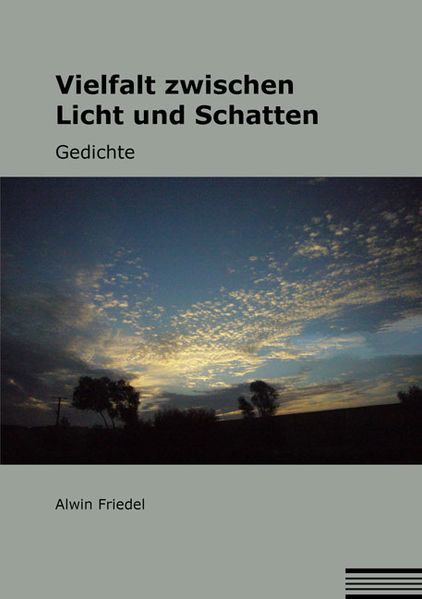 Cover von Vielfalt zwischen Licht und Schatten