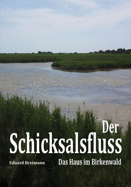 Cover von Der Schicksalsfluss