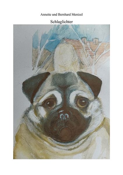 Cover von Schlaglichter