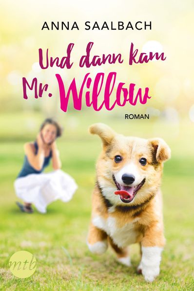 Cover von Und dann kam Mr. Willow