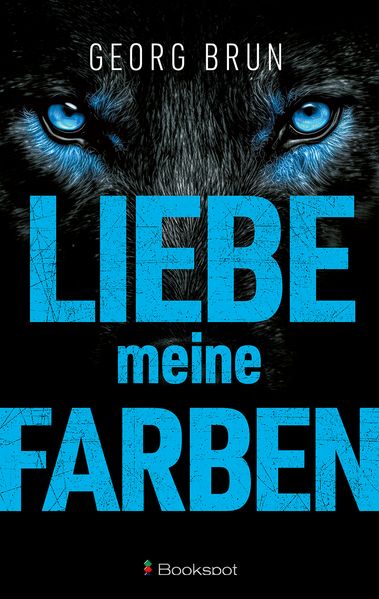 Cover von Liebe meine Farben