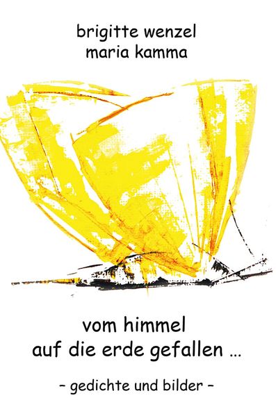 Cover von vom himmel auf die erde gefallen