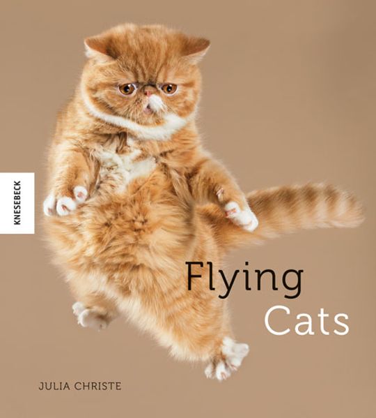 Cover von Flying Cats