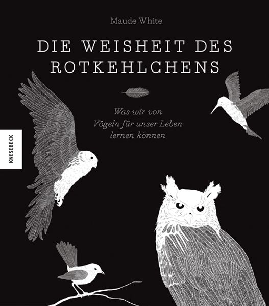 Cover von Die Weisheit des Rotkehlchens